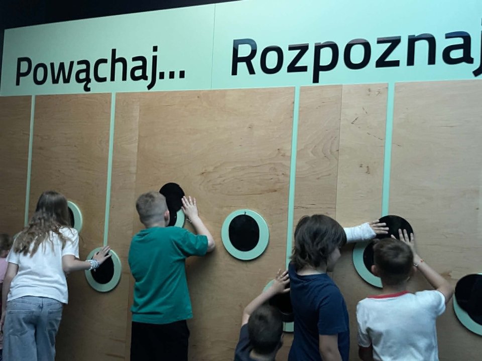 Wycieczka klas 2 do Parku Żywiołów w Budach