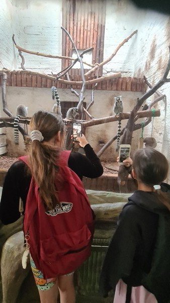 Wycieczka do ZOO w Zamościu