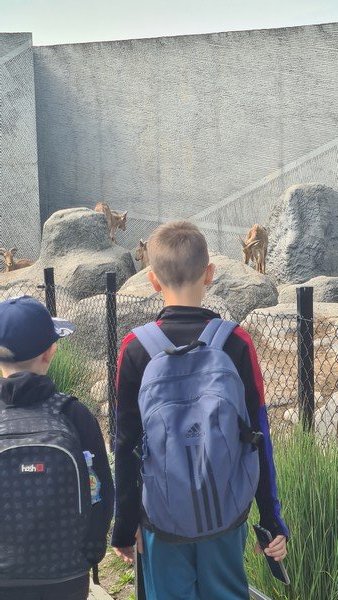 Wycieczka do ZOO w Zamościu